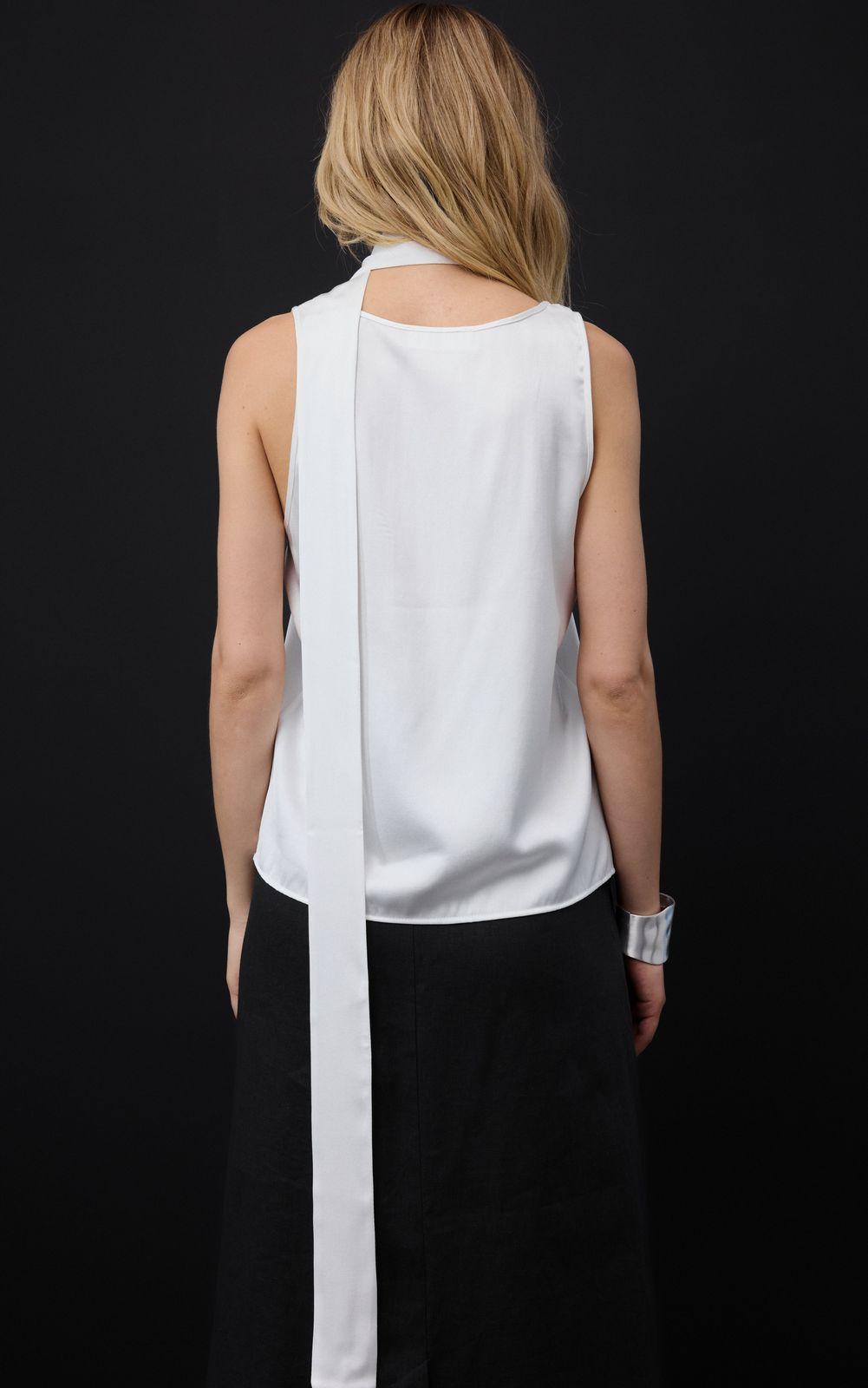 Satin Top with Thin Scarf